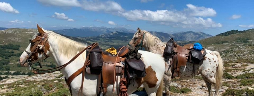 I CHJASSI DI L'ALTAGNA Chevaux et paysage